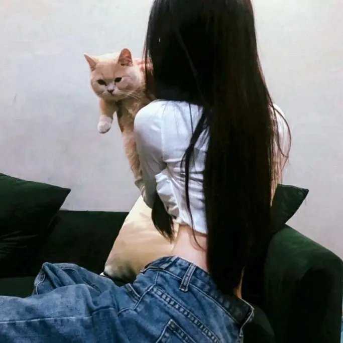 戴勋章的走私犯