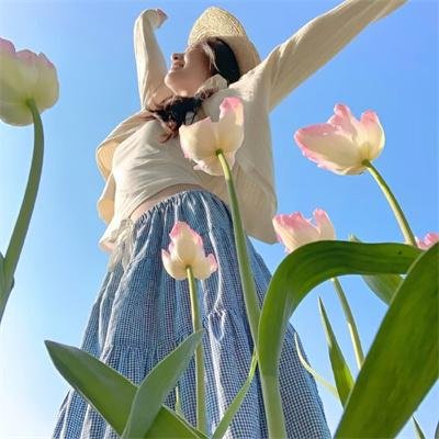 谎话连篇 浪花梦之阵